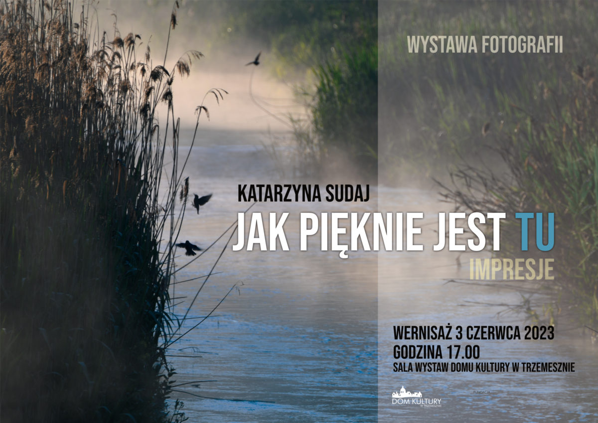 Jak pięknie jest TU, wystawa fotografii
